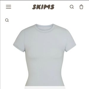 NWT SKIMS FITS EVERYBODY T-SHIRT in Moonstone L